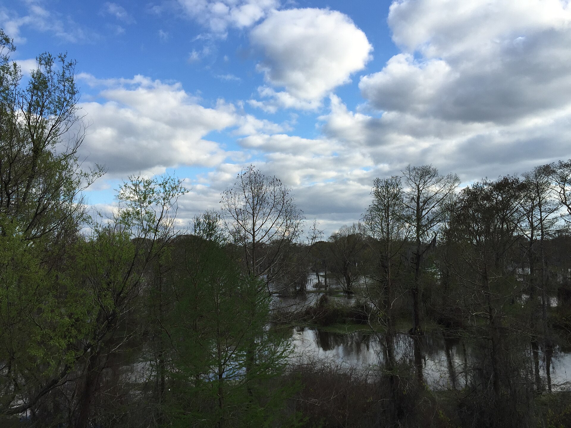Atchafalaya Basin Louisiana swamp, empty of people