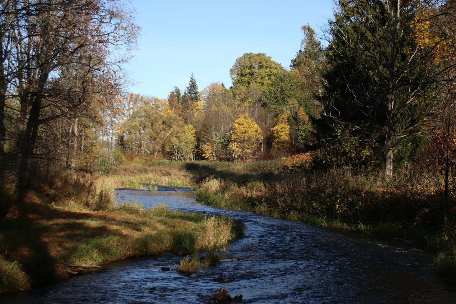 A winding stream flowing through a forest with autumn foliage under a clear sky, empty of people