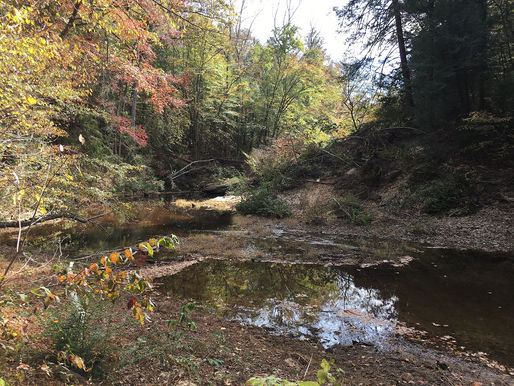 Sipsey Wilderness Alabama forest, empty of people