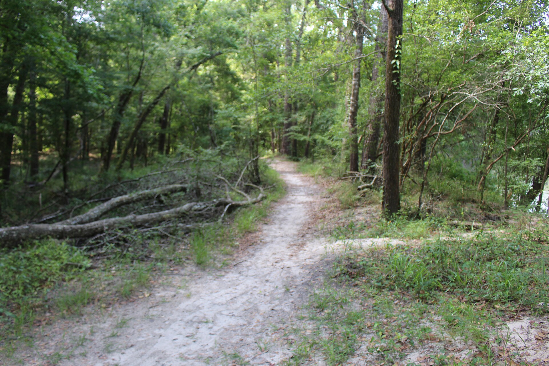 Suwannee River Florida, empty of people