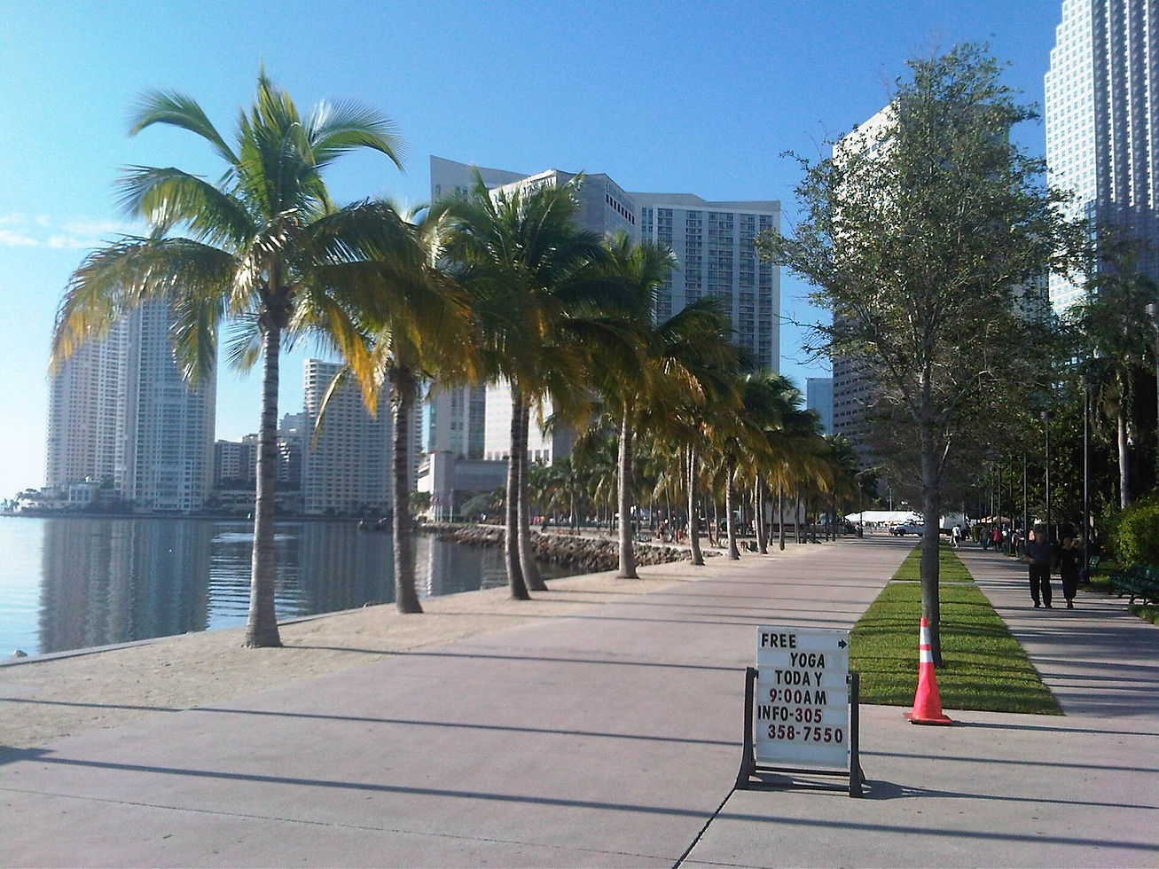 Bayfront Park, Miami — park and water, no people as subject