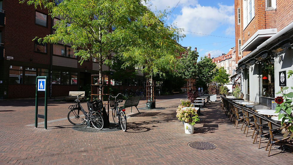 Bicycles parked on a brick street with outdoor cafe seating and green trees