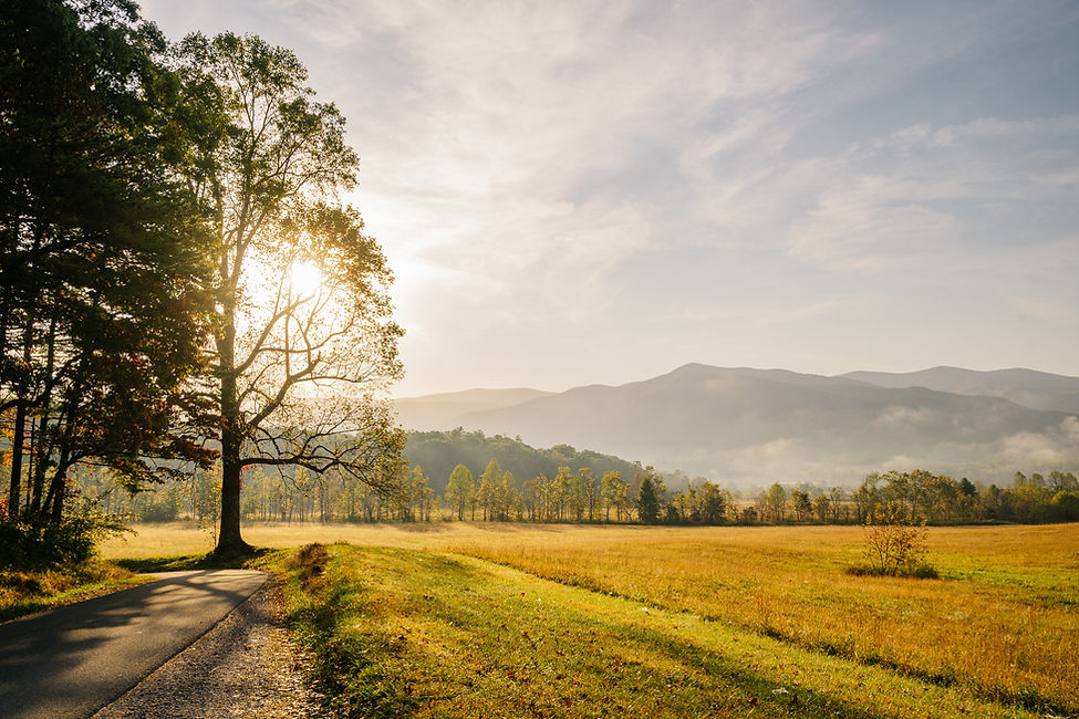 Cades_Cove_GSMNP_Autumn_Lone_Oak_Tree_Loop_Road_Sunbeams_Mountain.jpg