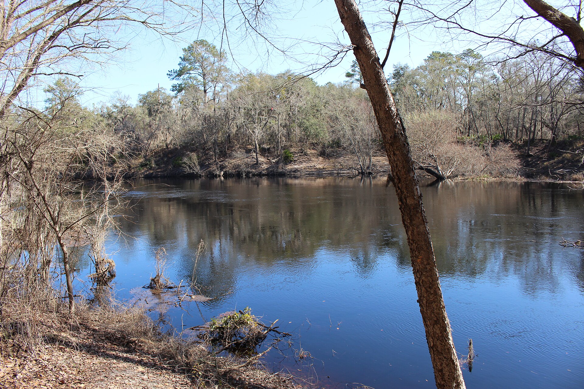 Suwannee River Florida, empty of people