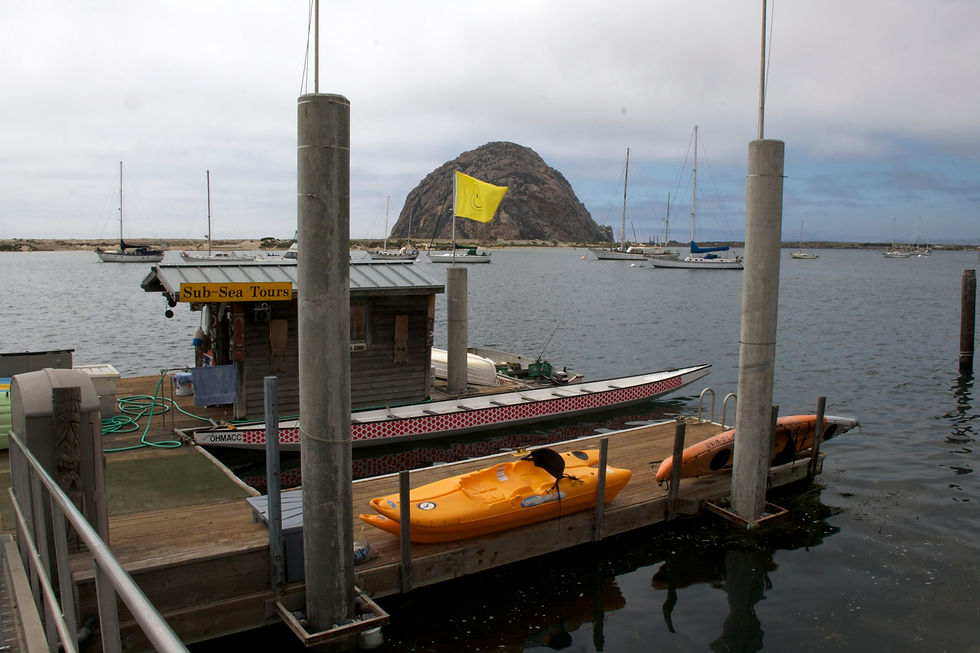 Groggy Scallywag Coffee House Serves the Morro Bay Embarcadero