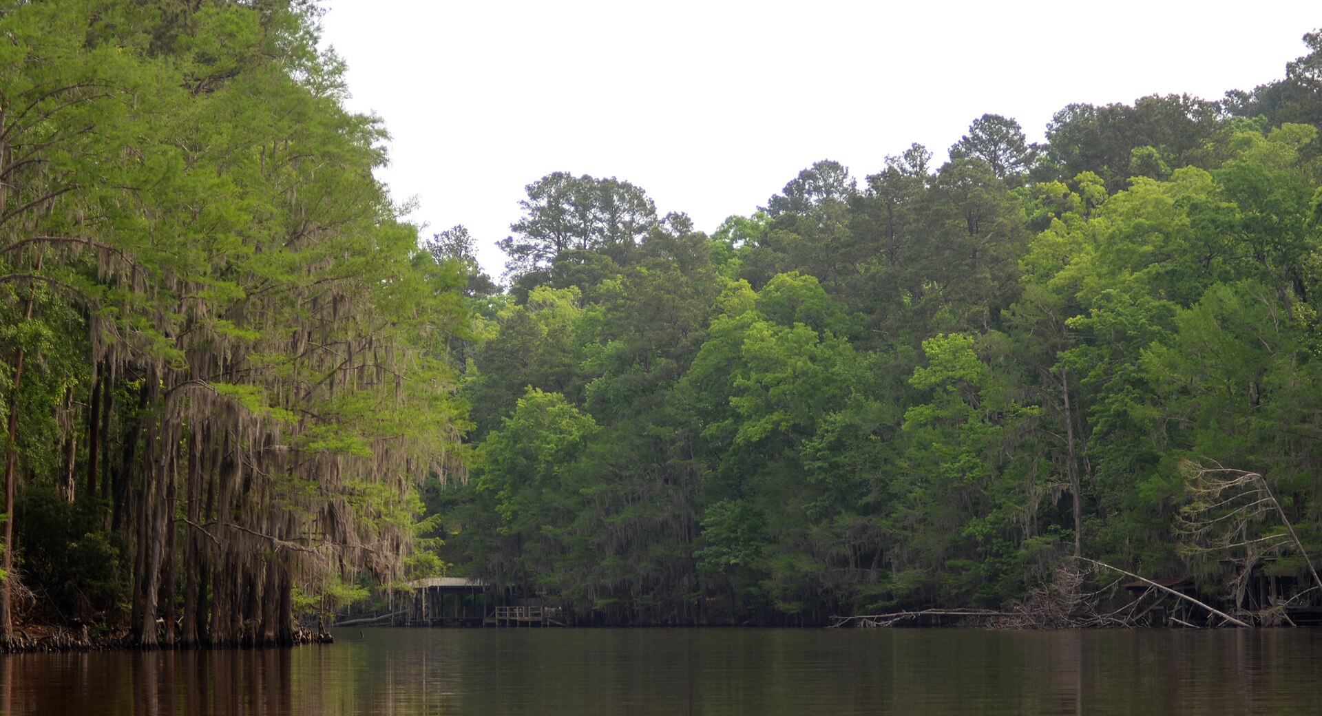 Caddo Lake Texas cypress, empty of people