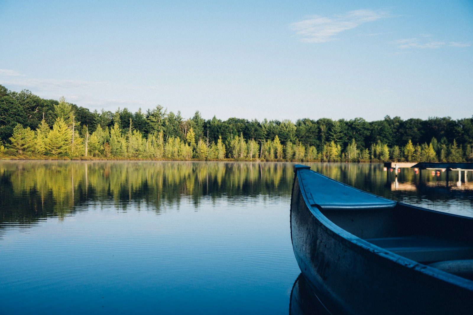 grey canoe on calm body of water near tall trees at daytime, empty of people