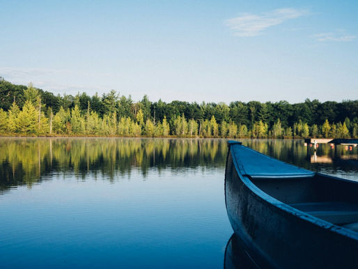 grey canoe on calm body of water near tall trees at daytime, empty of people