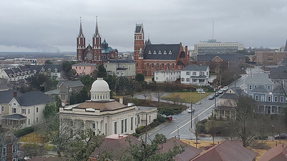 Macon Historic District rooftops from the Hay House cupola, 2022 — cityscape, no people as subject