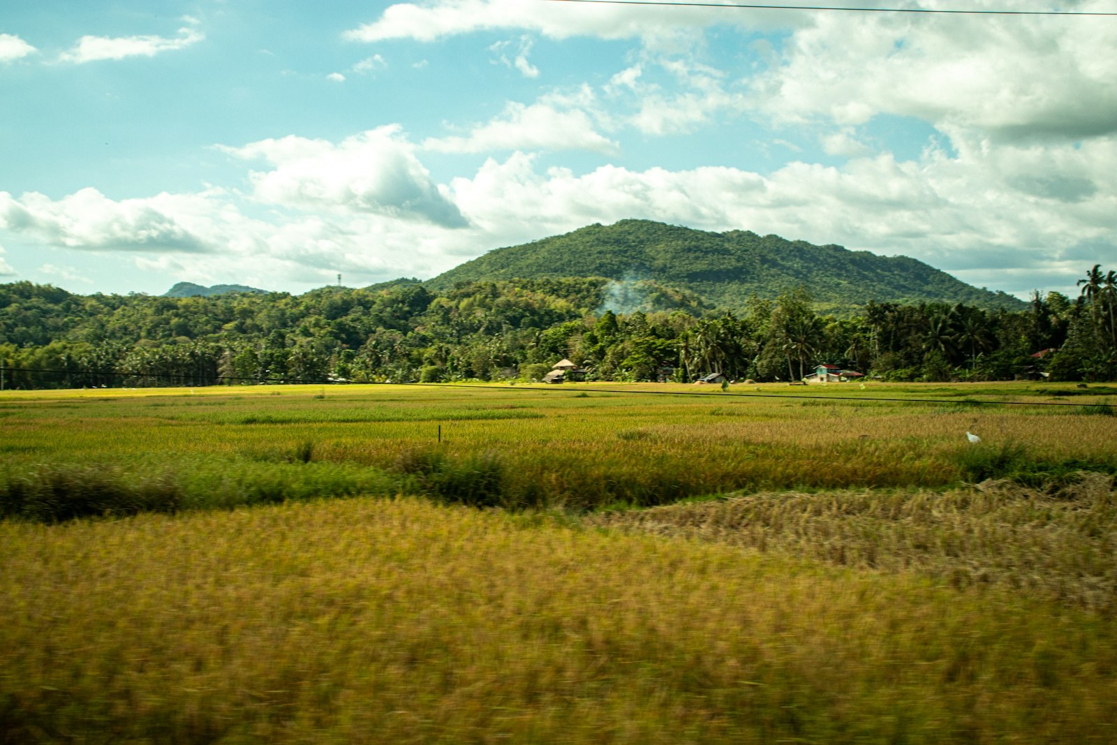Vast field with a lush mountain under a cloudy sky, empty of people