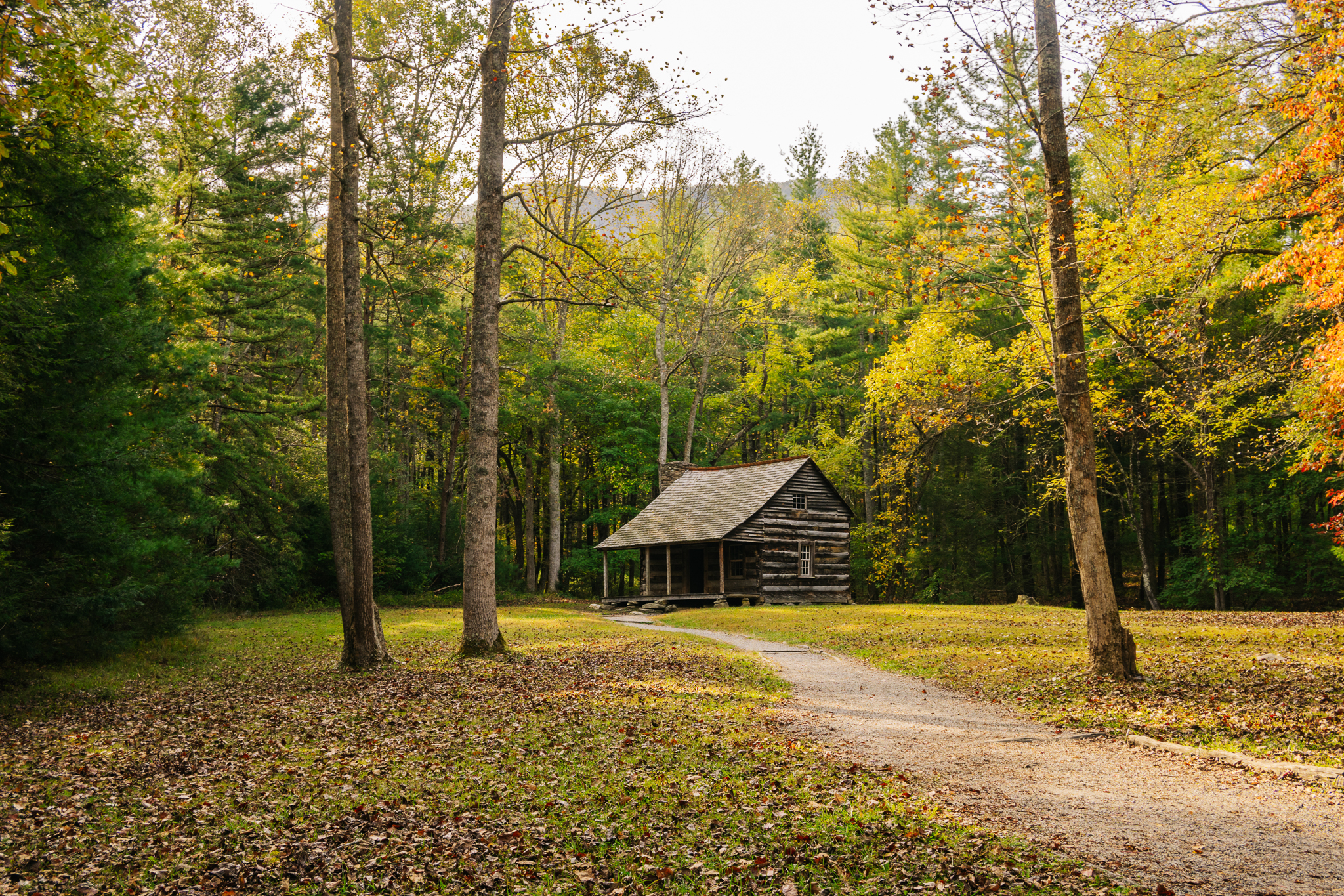 Cabin stay exterior, no faces