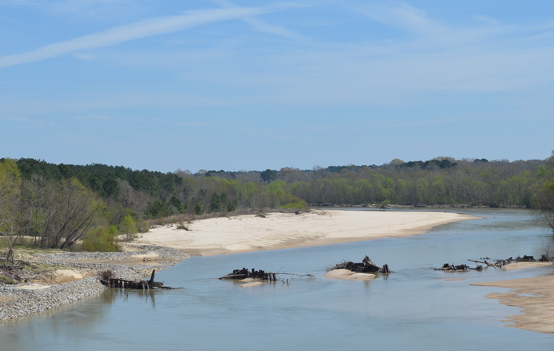 Homochitto River with cypress shoreline, empty of people