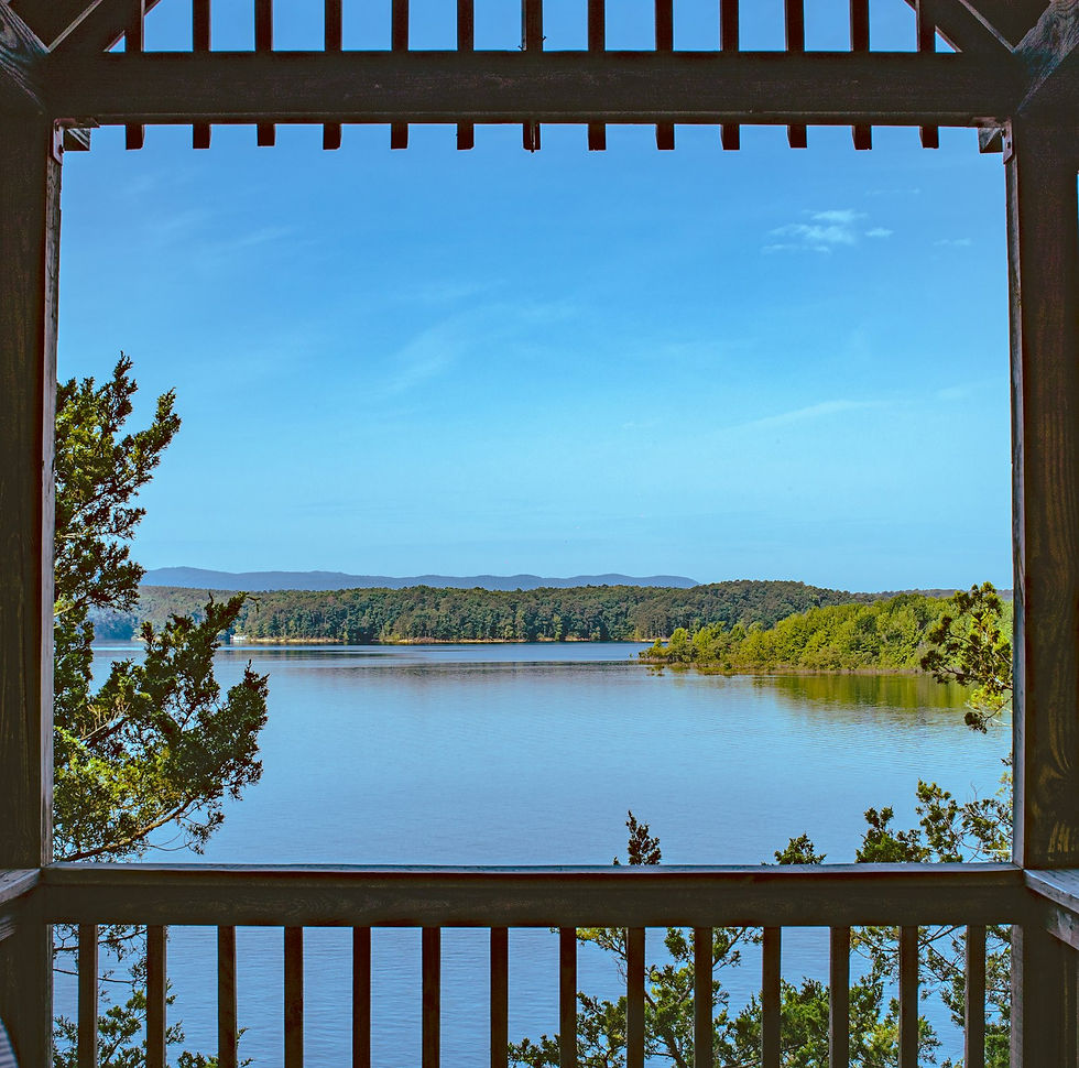 Open lake water view with distant tree line