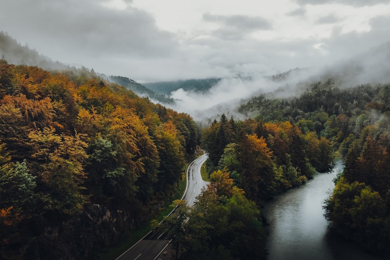 green trees near road under cloudy sky during daytime, empty of people