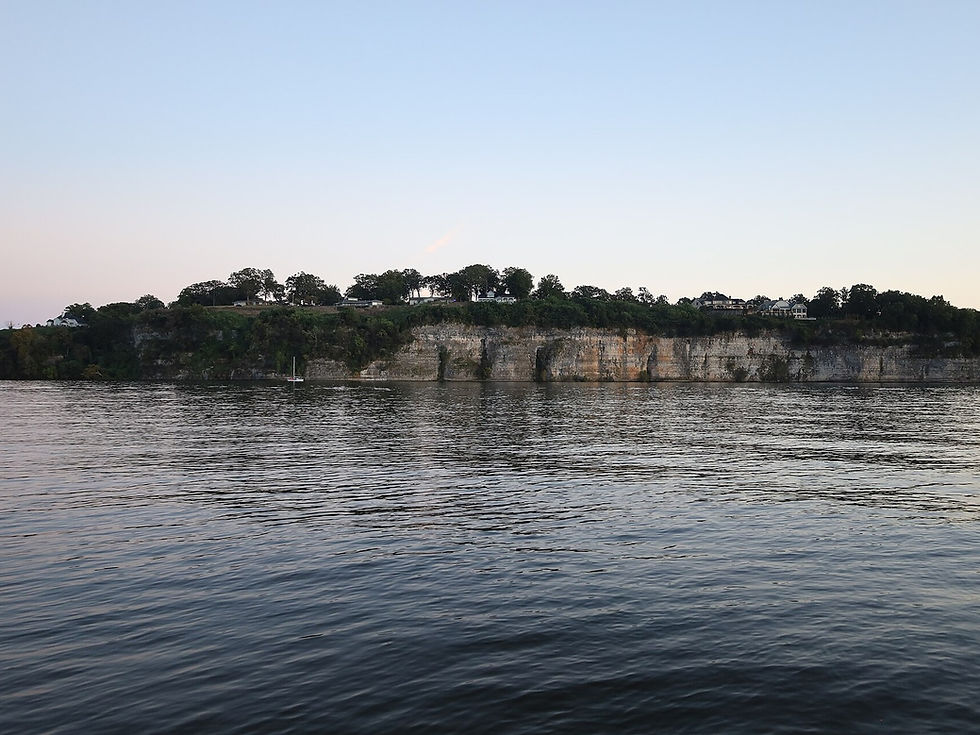 Tennessee River at Florence, Alabama , river and shoreline, no people as subject