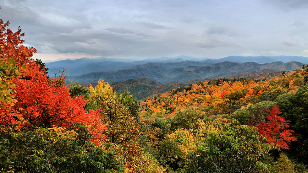 Autumn color in the Blue Ridge Mountains near Boone, NC