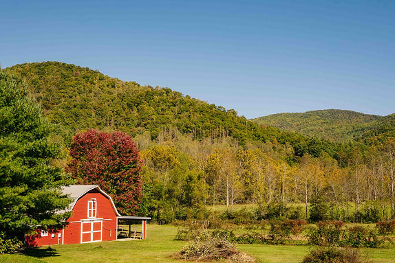 Western North Carolina.jpg