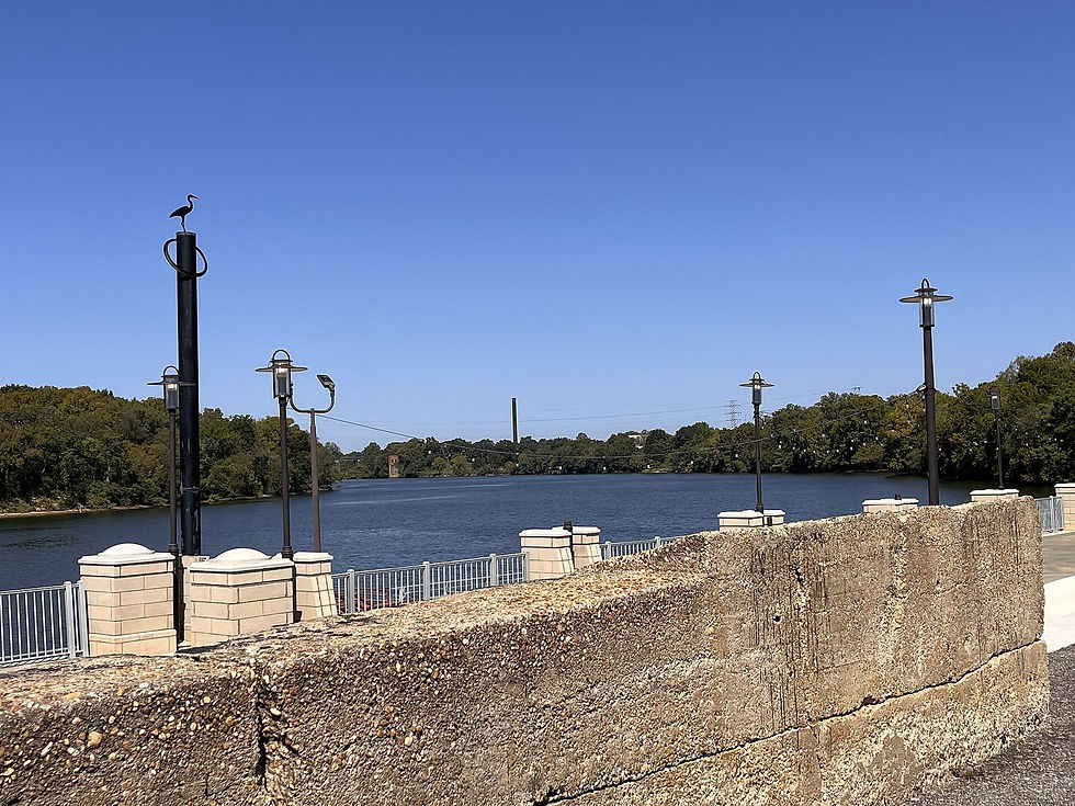Alabama River from the Montgomery riverwalk — water, lamps, and far bank, no people as subject