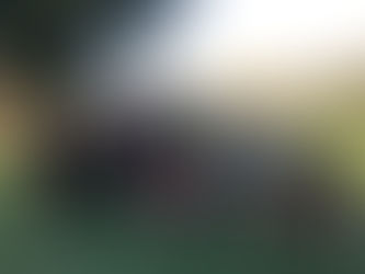 07-14-21 Wednesday Night Class in the Park 