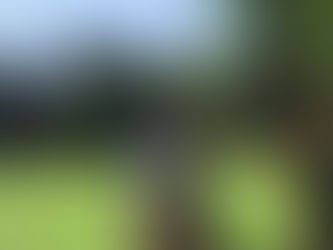 04-23-22 Saturday Class in the Park 