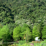 2005南庄.jpg