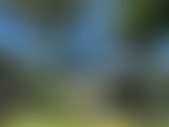 花蓮・松園別館と"聽說松園白蝴蝶回來過"