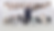 1O2A1310_edited.png