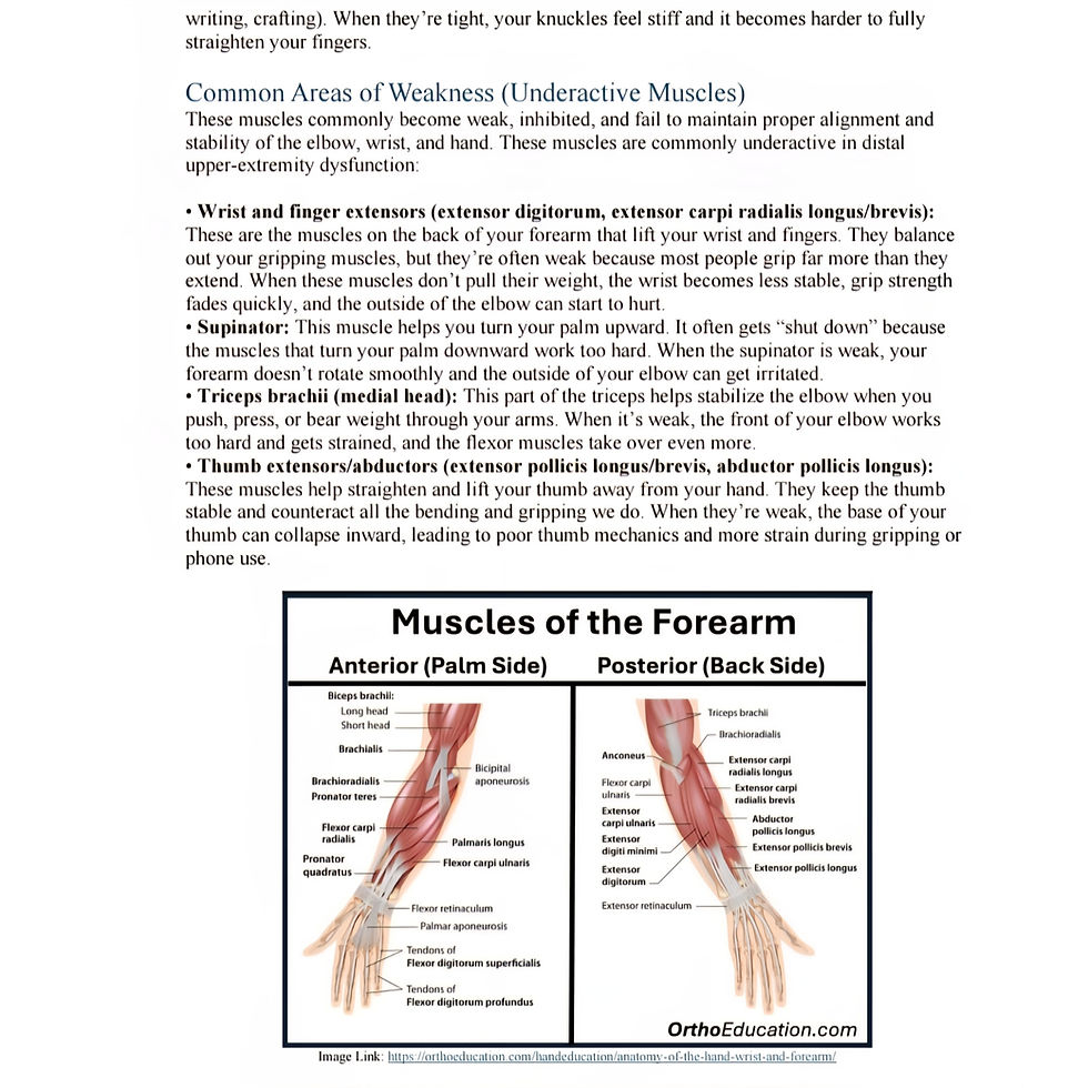 Thumbnail: Elbow, Wrists, and Hands of Steel Prehab Program (.pdf)