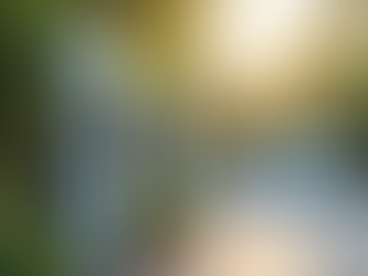 Top 5 Reasons to Keep Your EV Battery Above 20% for Optimal Performance