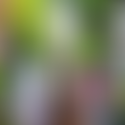 Hàng Châu - vùng đất tràn ngập sắc xanh của thiên nhiên