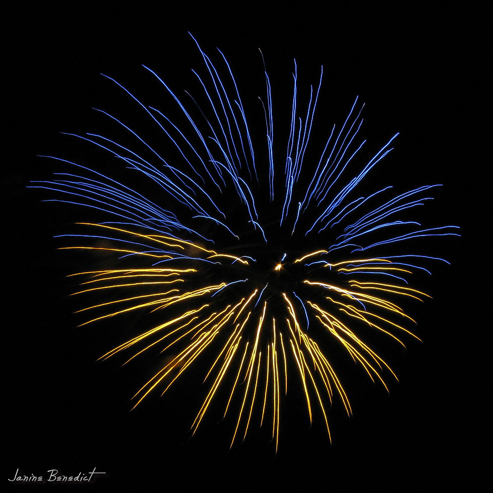 Fireworks July 23, 2008