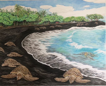honu.JPG