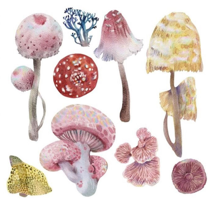 Thumbnail: Mushrooms - 3 Sheet Transfer