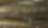 Thumbnail: Trident - 3" and 4.8"