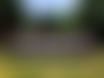 2017年度 関東リーグ戦 優勝決定戦・入れ替え戦