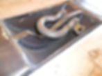 Concave Bottom-8.5T Shackle