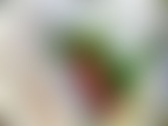 Our Holiday Menu is Here!