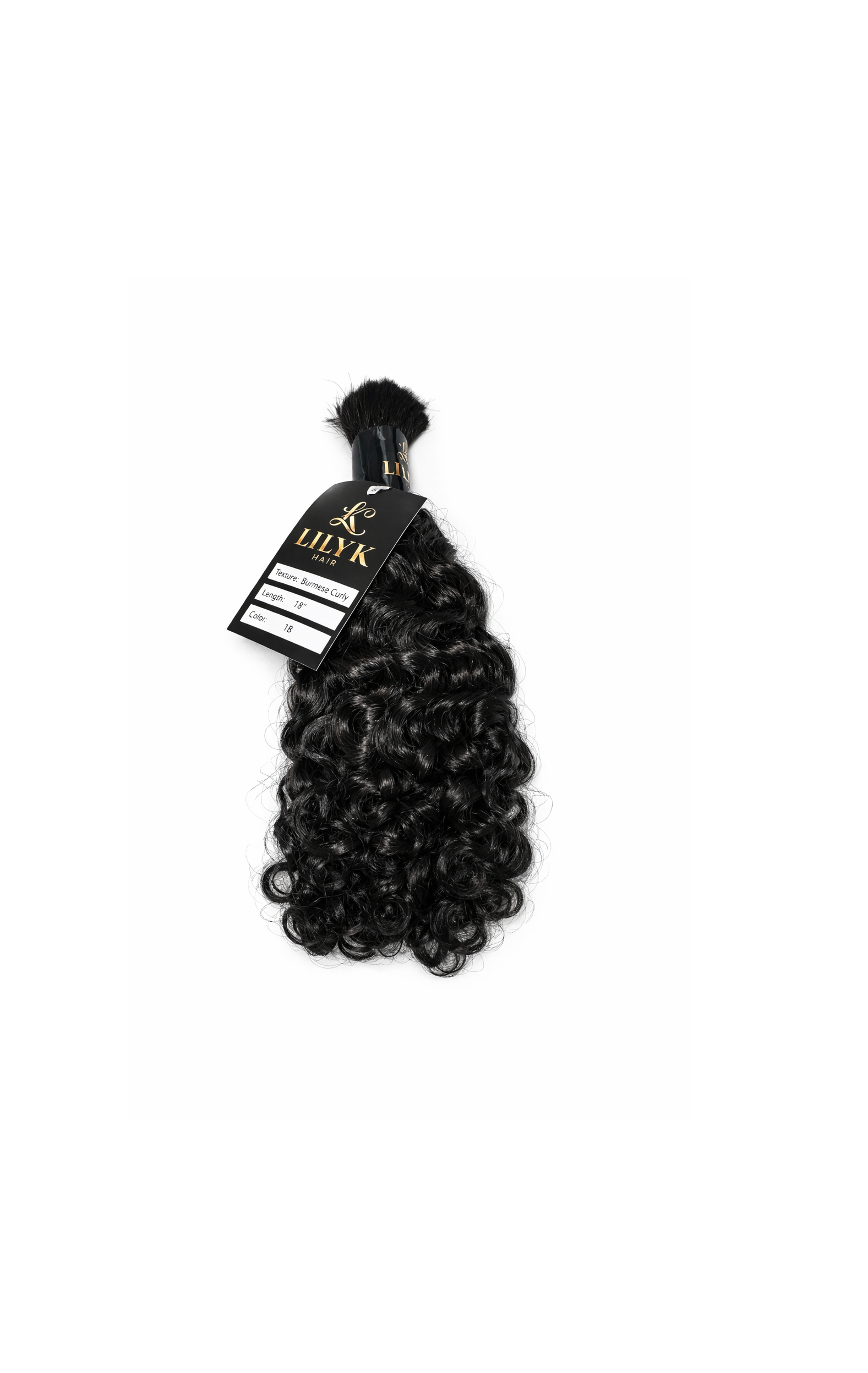 BURMESE CURLY