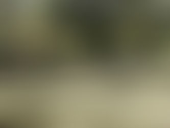 A SOFT PLACE TO LAND