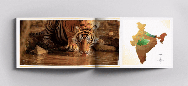 SafariMock-ezgif.com-video-to-gif-converter.gif