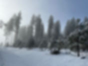 IMG-5167.JPG