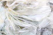 crysotile - White asbestos