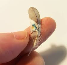 Hsan Kale - “Istanbul’s Microangelo”