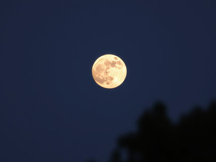 Statement by Minister Guilbeault on the Mid-Autumn Festival