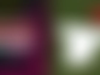 Altos de Rioja & Attis Bodega y Viñedos parmi les 100 meilleurs vins d'Espagne selon James Suckling