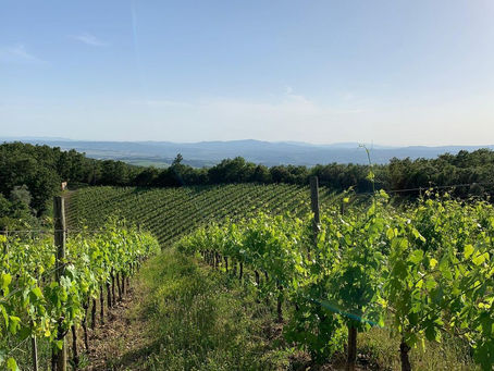 "Le Ragnaie" (Toscane - Italie)