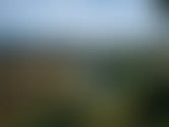 "Coeur de Malbec" (A.O.P. Cahors)