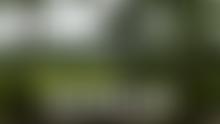 "Le Pouvoir des Fleurs"