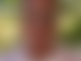 🎥 Merci Jean-François pour ce message ! #27