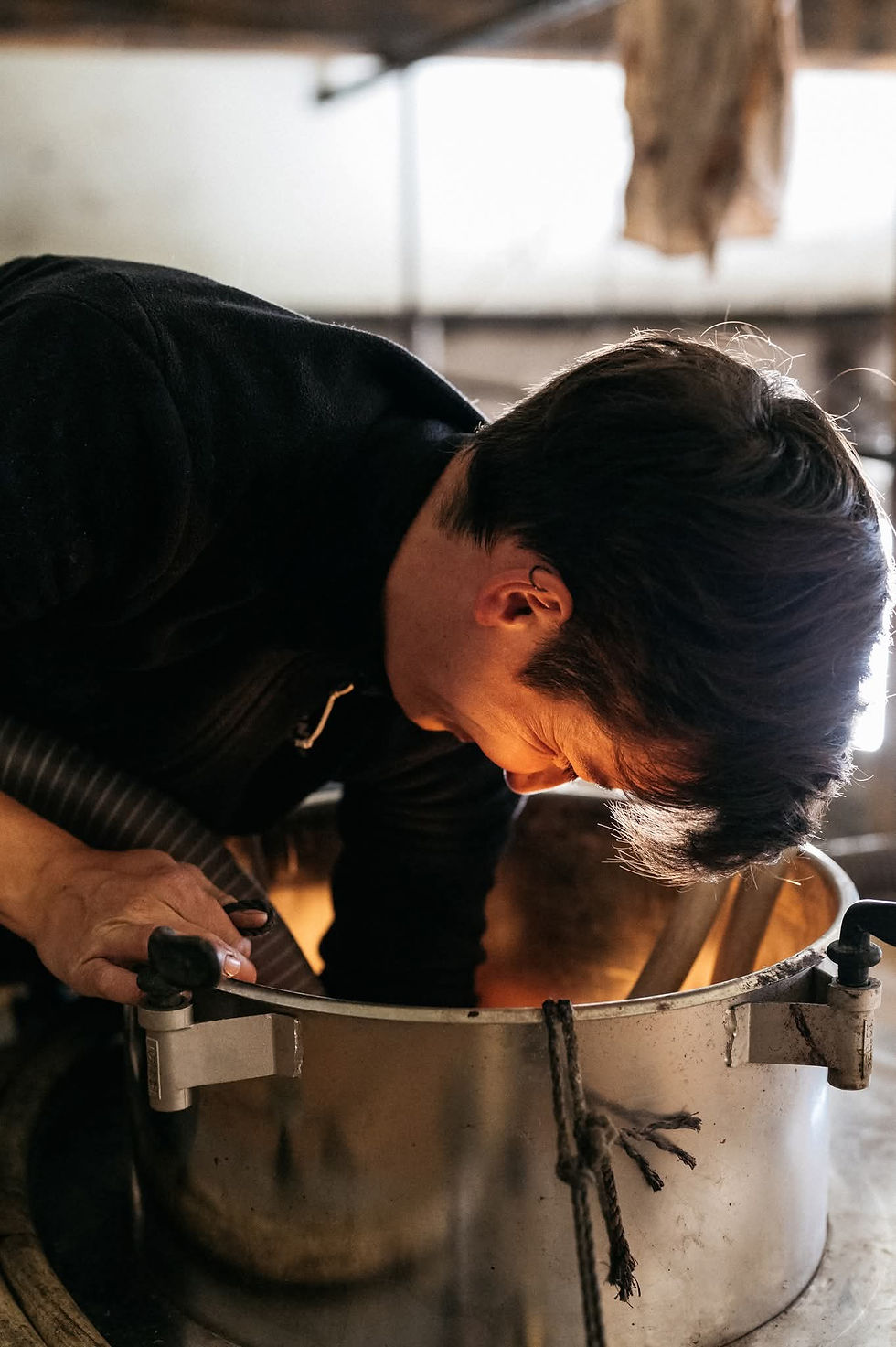 Le cycle de la vigne : octobre